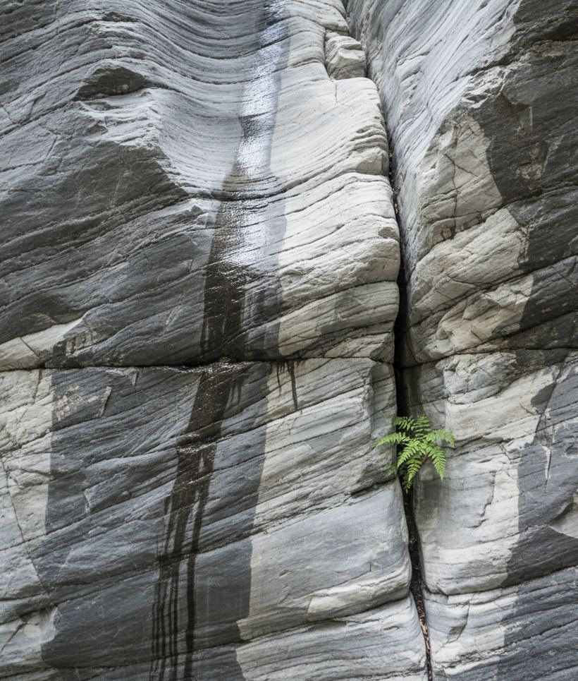 Close view of folded grey and white marble with wet streaks, drill scars and a small fern